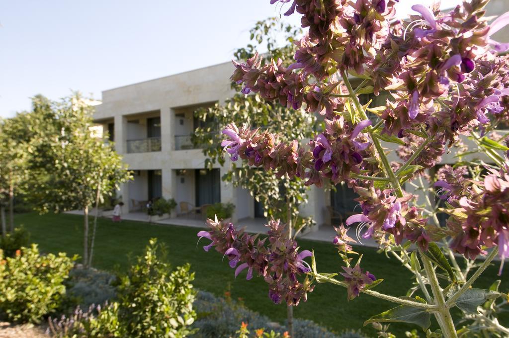 Lavi Kibbutz Hotel Dış mekan fotoğraf